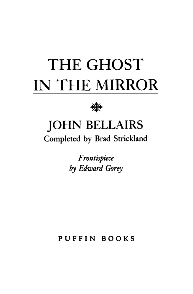 Cover image for The Ghost in the Mirror