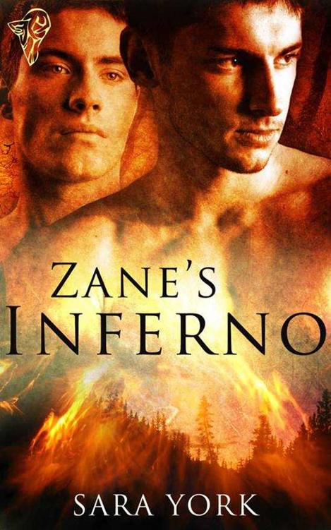 Description: C:\total-e-bound\Cover Art\Sara York\Zane's Inferno\zanesinferno_800.jpg