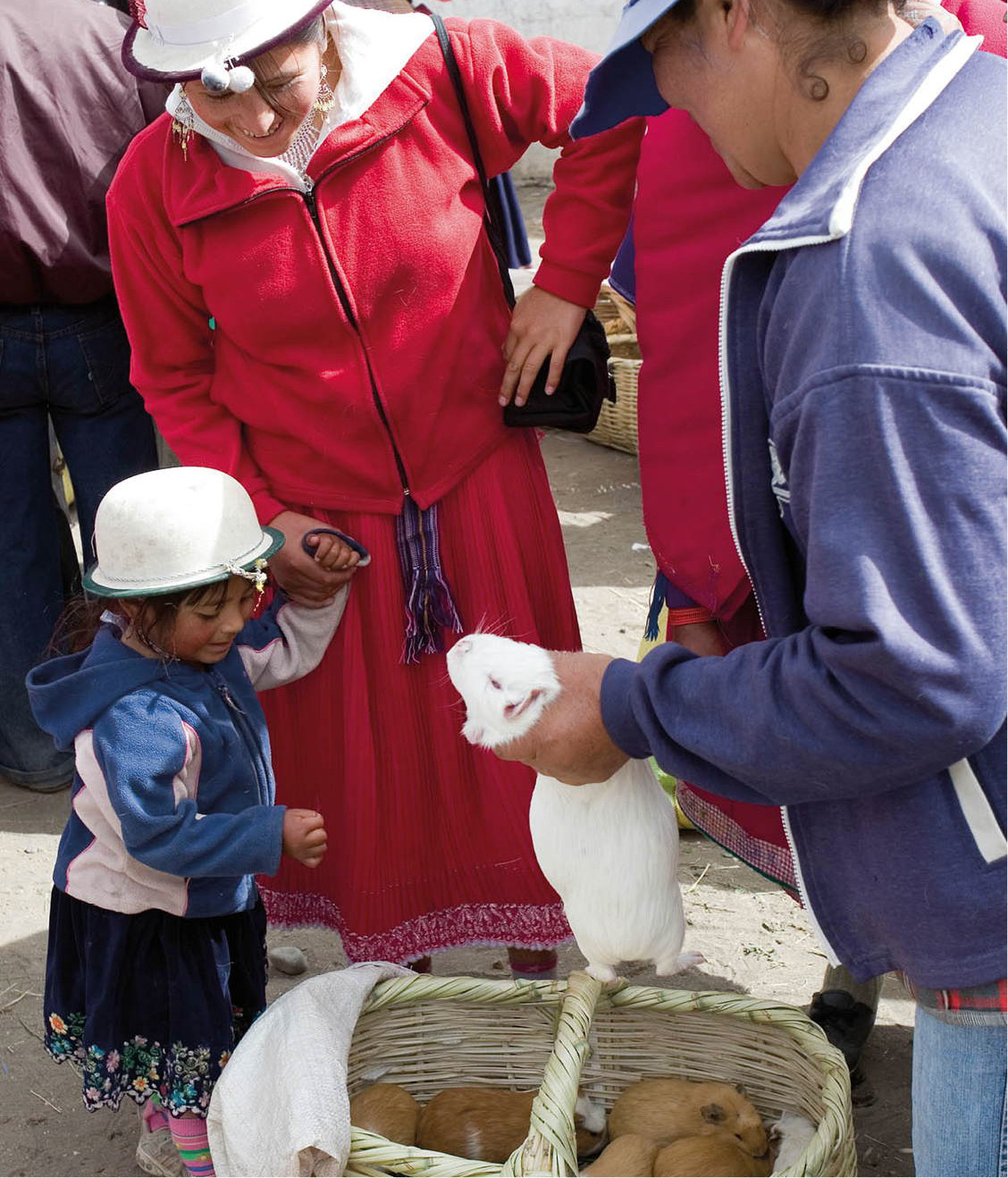 _MG_6667_Ecuador_EC.jpg