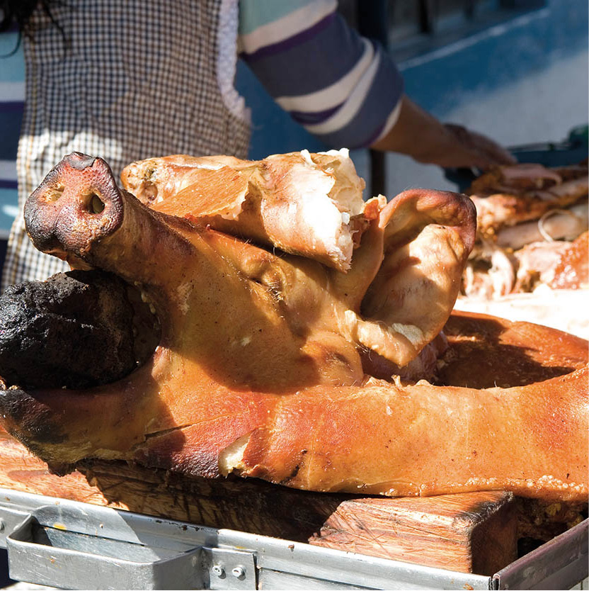 _MG_6970_Ecuador_EC.jpg