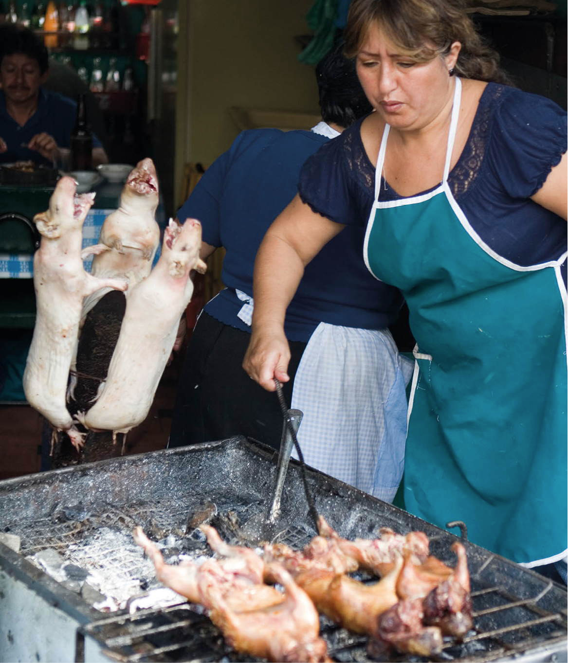 _MG_7062_Ecuador_EC.jpg