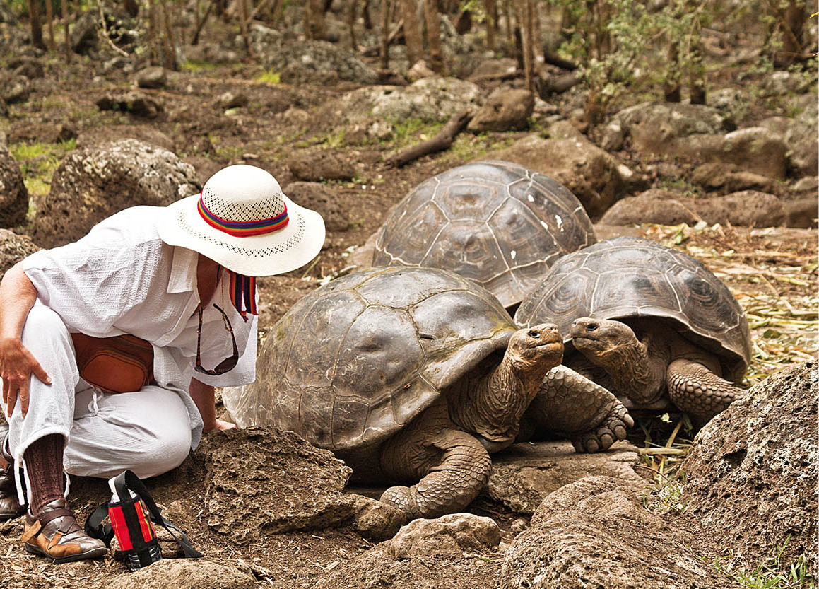 dreamstime_m_26120898_Ecuador_EC.jpg