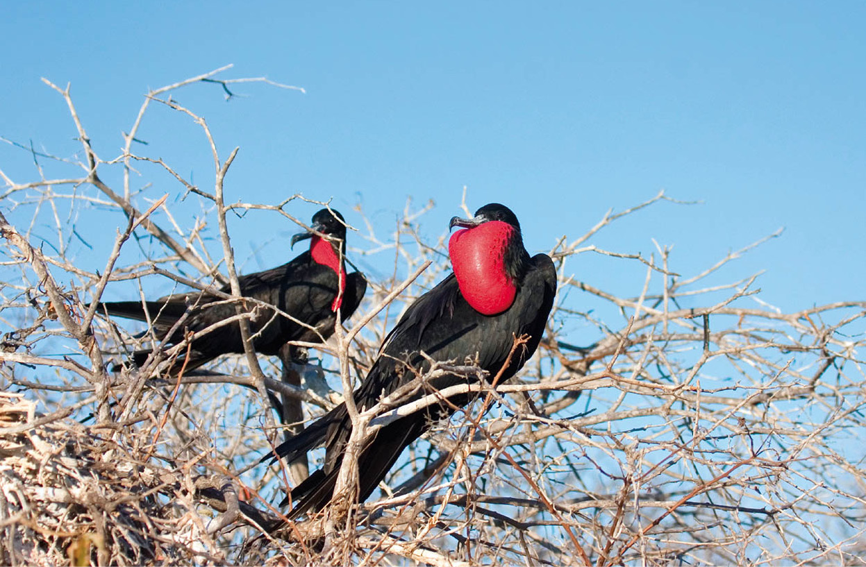 iStock_000002831313Medium_Ecuador_EC.jpg