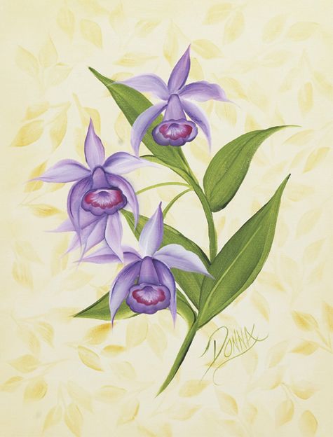 Z0168i-Orchid_fmt