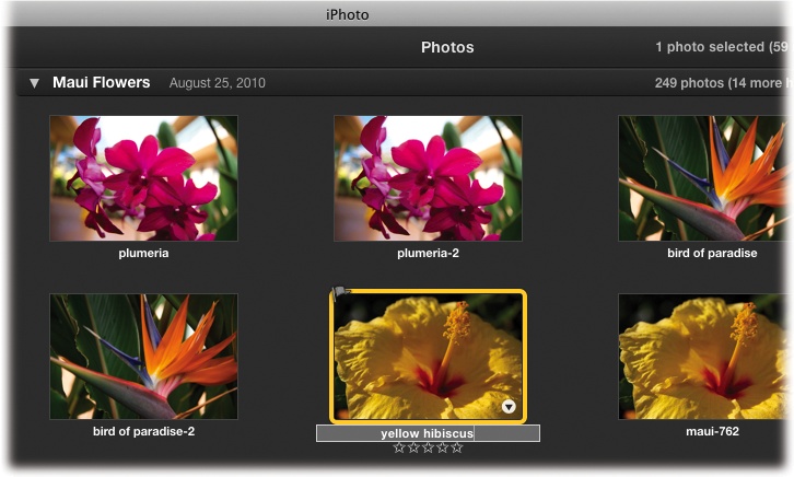 iPhoto doesn’t display photo names automatically, but you can turn them on by choosing View→Titles.To rename a photo, double-click its thumbnail and type away. To rename the next one, press Tab to highlight its name. Proceed this way (Tab, type; Tab, type) until you’ve renamed everything in the batch. The great part is that you never have to lift your hands off the keyboard!