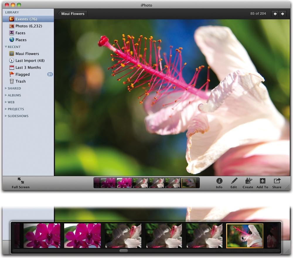 Top: Here’s how most people open pictures, at least at first. It’s comforting to see landmarks like the Source list and toolbar. The downside is that those other screen elements limit the size of the enlarged photo; that’s why you might want to consider the new Full Screen view.Bottom: The filmstrip at the bottom of the window is new in iPhoto ’11. Point to it without clicking to enlarge it so you can see the other photos in that Event or album. A little scroll bar appears underneath it so you can pick another photo to view at close range.