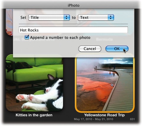 iPhoto’s batch-processing feature lets you specify titles, dates, and description for any number of photos you select. When you title a batch of pictures, turn on “Append a number to each photo” to number them in sequence, too.