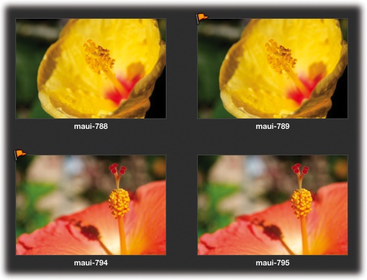When you flag a photo, you’re adding a temporary, orange pennant badge to its thumbnail. It’s like you’re setting this photo aside so you can make it part of a grouping of like-minded pictures later.