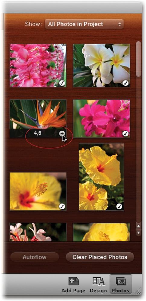 iPhoto ’11’s new Photos panel shows you the pictures in your project. You can use the Show pop-up menu at the top to switch between viewing all the photos in your project or only the ones that are placed on page, or jump to the Recent items in your Source list, such as the last viewed Event, Last Import, and so on.Checkmarks on the thumbnails indicate that the photo is being used in your book. If you point to a thumbnail, iPhoto displays a little number at the bottom indicating what page(s) it lives on. To visit that page, click the to its right (circled).