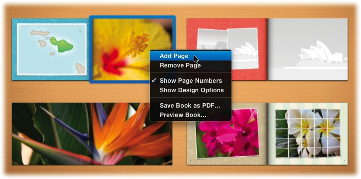 You can Control-click (or right-click) a blank spot on any page and, from the shortcut menu, choose Add Page or Remove Page. (If you Control-click a photo, you get a different menu [shown on page 257].)Light gray placeholders appear on the new pages, ready to fill. iPhoto decides how many photos should go on the new page, but you can change that number using the techniques discussed earlier.