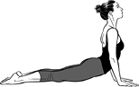 Figure24459UrdhvaMukhaSvanasana-1-94-20.tif