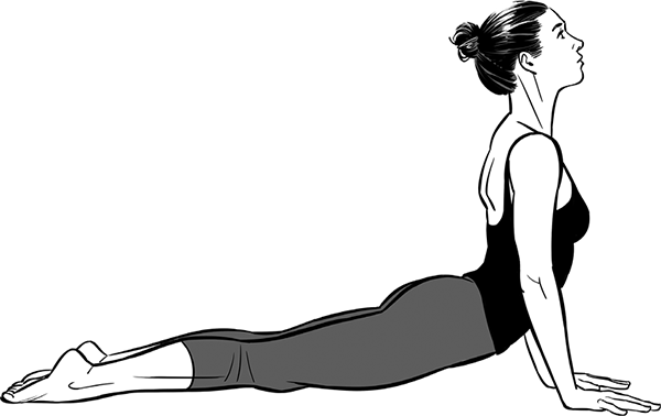 Figure24459UrdhvaMukhaSvanasana-1-94.tif