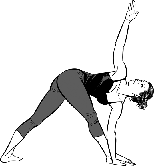 Figure43318ParivrttaTrikonasana-1.tif