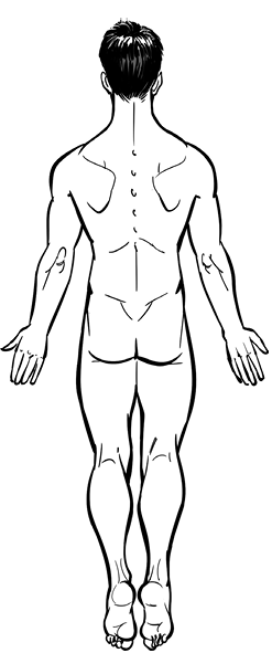 Figure4Anatomy04.tif