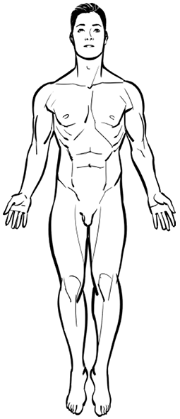 Figure5Anatomy05.tif