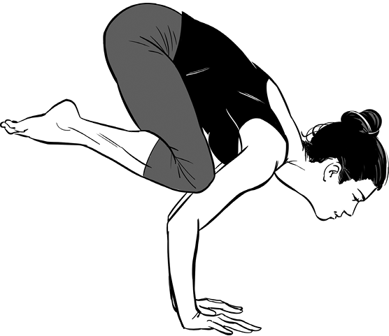 Figure88141Bakasana-1.tif