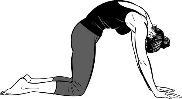 Figure9A152Bidalasana-1.tif