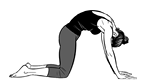 Figure9A152Bidalasana-1-15.tif