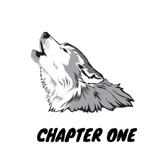 Chapter One