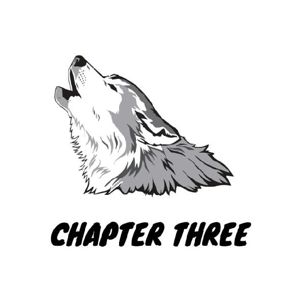 Chapter Three