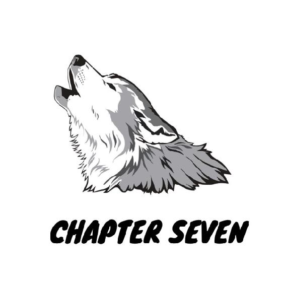 Chapter Seven