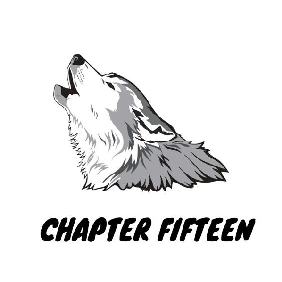 Chapter Fifteen