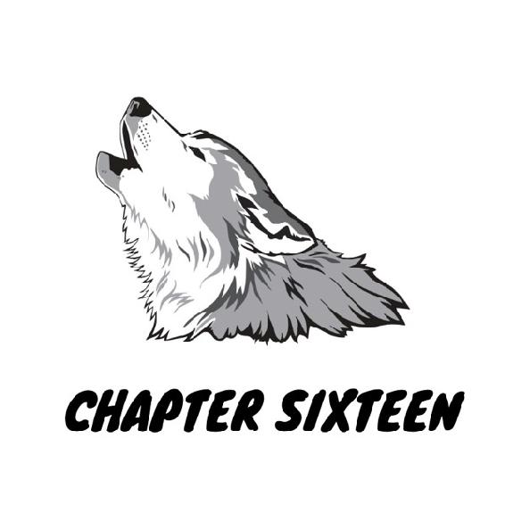 Chapter Sixteen