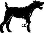 https://epub-imgs.scribdassets.com/41pbq2qdts5qkvpz/images/image-PP6WIAM4.jpg