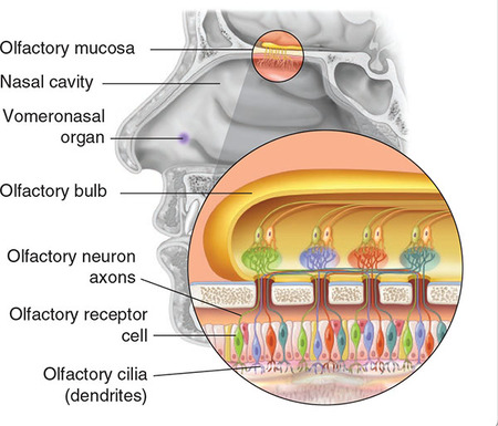 Figure 137