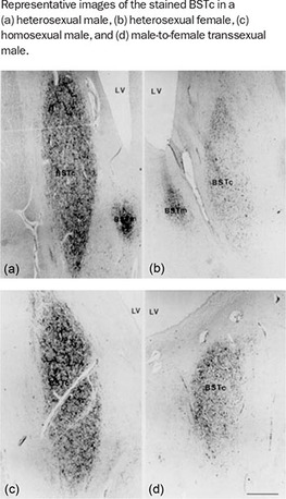 Figure 143