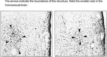 Figure 149