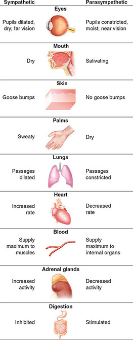 Figure 153