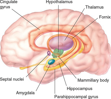 Figure 161