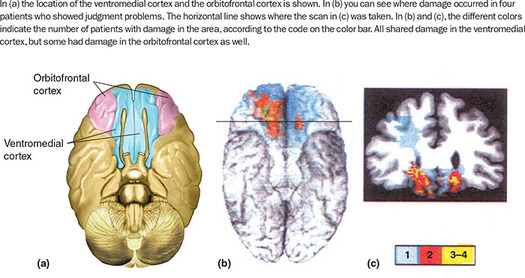 Figure 165