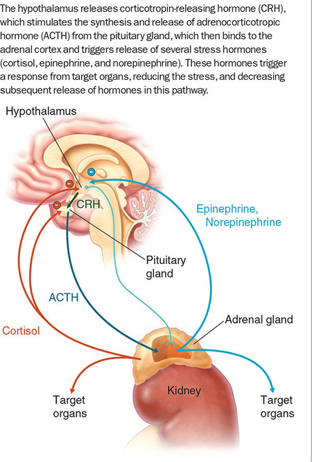 Figure 169