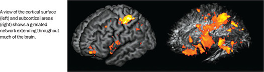 Figure 291