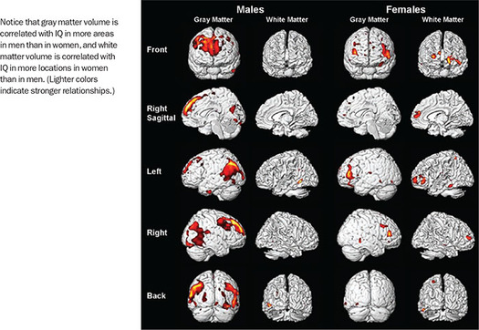 Figure 292