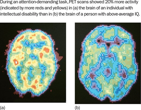 Figure 294