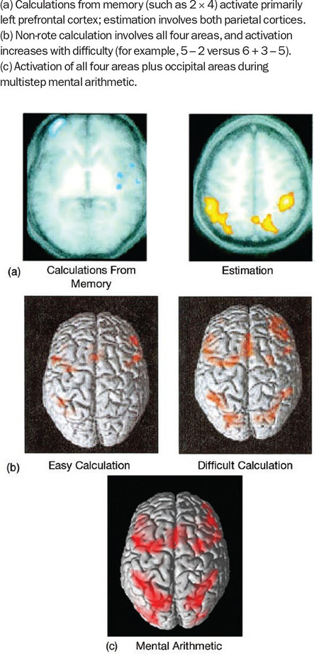 Figure 295