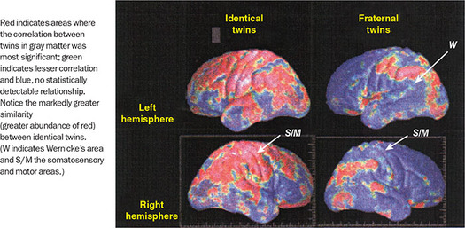 Figure 297