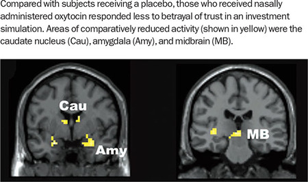 Figure 305