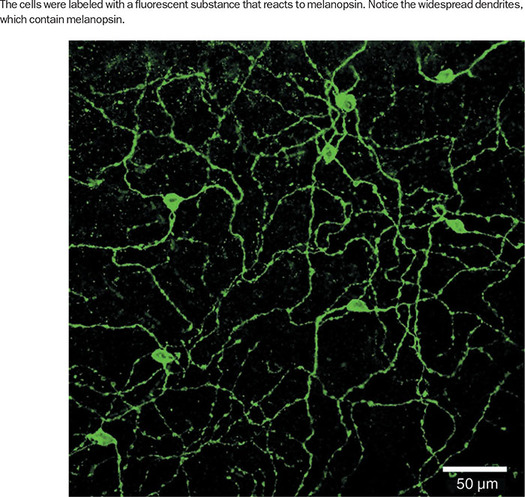 Figure 347