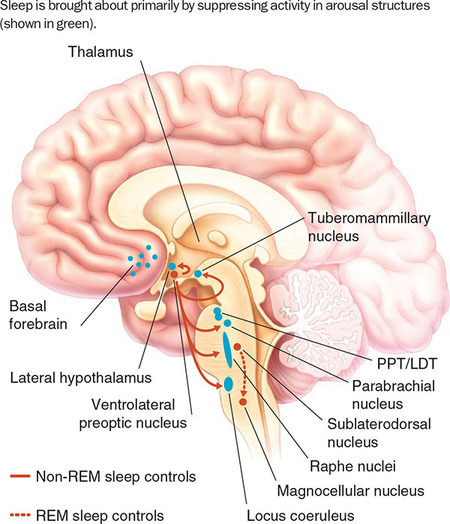 Figure 354