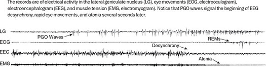 Figure 355