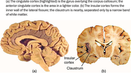 Figure 358