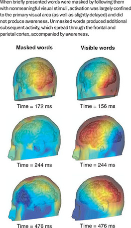 Figure 360