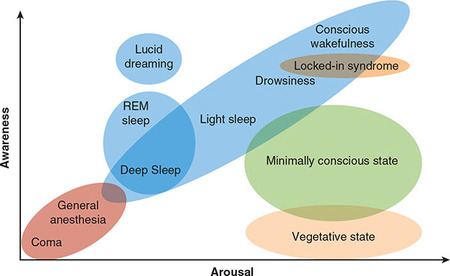 Figure 361