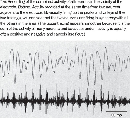 Figure 362