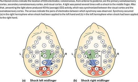 Figure 363