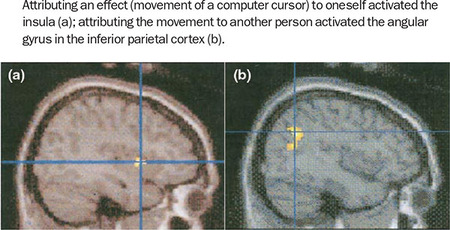 Figure 366